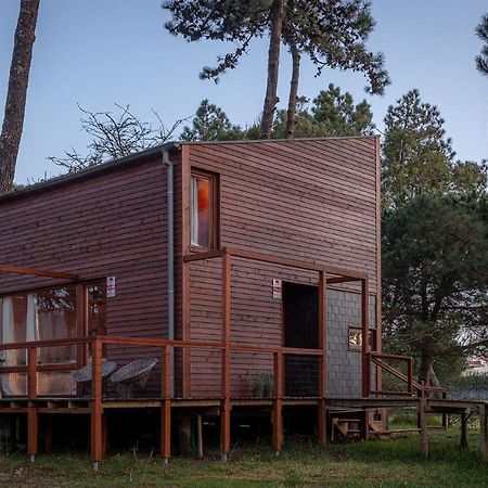 Bungalow B9 - Nature, Beach & River Fão Exteriör bild