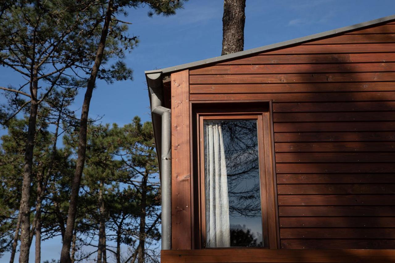 Bungalow B9 - Nature, Beach & River Fão Exteriör bild